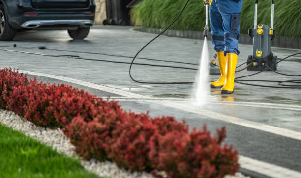 Best Vinyl Siding Pressure Washing in Kaanapali, HI